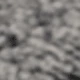 رمادي غامق