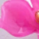 Rosa Fucsia