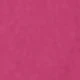 Rosa Fucsia