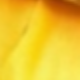 Yellow 1