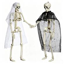 Halloween Skeleton Skeleton Realistic Human Plastic Skeleton Ghost Groom Bride Couple Human Skeleton Decoration Prop - View 9