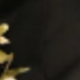 款式3