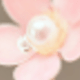 彩色