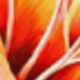 Hummingbird Window Decal