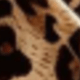 1 Dark Leopard Print