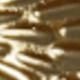 Dorado