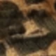 متعدد الألوان