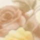 繁花似錦