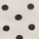 Apricot Base With Brown Polka Dots