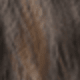 Brown Highlight