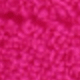 Coral Pink