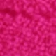 Coral Pink