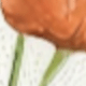 彩色