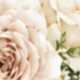 متعدد الألوان
