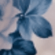 Vintage Blue