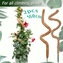 63英吋可彎曲苔蘚柱，可彎曲攀爬植物支撐桿，DIY可調節植物格柵，適用於室內攀爬植物如龜背竹和黃金葛 - 愛 - 查看 12