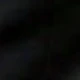 الأسود