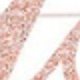 Rose Gold Photo Banner Set