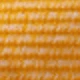 Light Orange