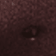Brownish Red
