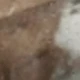 متعدد الألوان