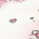 彩色