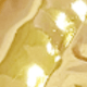 Dorado