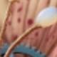 彩色