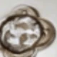 Silver 6
