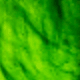 Translucent Green