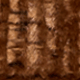 Rust