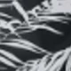 Black + Black Leaves