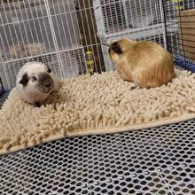 1pc Super Absorbent, Breathable & Non-Slip Pet Sleeping Mat, Washable Small Pet Nest Pad, Suitable For Guinea Pigs, Rabbits, Various Birds, Cats, Reptiles And Amphibians - View 18