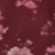 Burgundy Floral