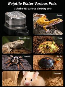 1pc Automatic Water Dispenser, Suitable For Reptiles, Tortoises, Turtles, Bearded Dragons, Lizards, Reptile Water Bowl, Can Maintain Water Supply For 7 Days - Automatic - View 2