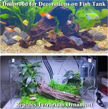 3pcs Wood Aquarium Driftwood Suitable For Fish Tank & Reptile Terrarium, Fast-Sinking Branches With Assorted Lengths, Shrimp, Snails, Aquascaping Decor For Fish Tanks And Reptile Habitat - 3 Pcs - View 5