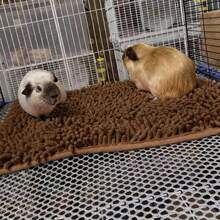 1pc Super Absorbent, Breathable & Non-Slip Pet Sleeping Mat, Washable Small Pet Nest Pad, Suitable For Guinea Pigs, Rabbits, Various Birds, Cats, Reptiles And Amphibians - View 15