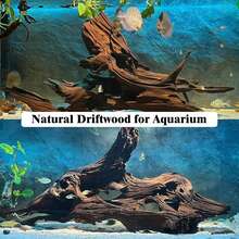 3pcs Wood Aquarium Driftwood Suitable For Fish Tank & Reptile Terrarium, Fast-Sinking Branches With Assorted Lengths, Shrimp, Snails, Aquascaping Decor For Fish Tanks And Reptile Habitat - 3 Pcs - View 6