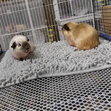 1pc Super Absorbent, Breathable & Non-Slip Pet Sleeping Mat, Washable Small Pet Nest Pad, Suitable For Guinea Pigs, Rabbits, Various Birds, Cats, Reptiles And Amphibians - View 17