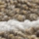 Camel-colored Lines