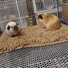 1pc Super Absorbent, Breathable & Non-Slip Pet Sleeping Mat, Washable Small Pet Nest Pad, Suitable For Guinea Pigs, Rabbits, Various Birds, Cats, Reptiles And Amphibians - View 14