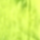 Neon Green