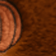 Deep-burn Rabbit Fur Deep-burn