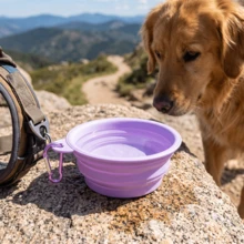Folding Dog Dish, Pet Bowl Water For Dog Drinking Bowl Cat - Purple - View 5