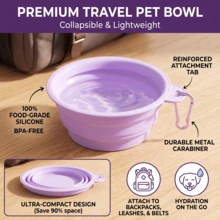 Folding Dog Dish, Pet Bowl Water For Dog Drinking Bowl Cat - Purple - View 1
