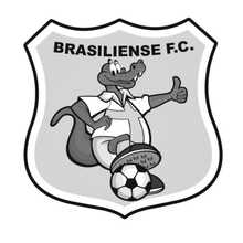 Insulated Cups & Mugs - Brazilian - View 2