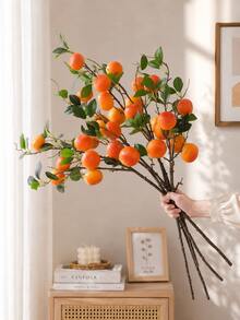 Esquejes de naranja de 6 frutos