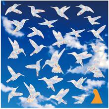 SHAWULA 25PCS Hummingbird Anti-Collision Window Clings Non-Adhesive Prismatic Vinyl Window Decals To Prevent Bird Strikes Rainbow Window Stickers For Glass Windows Home Protection - Multicolor - View 2