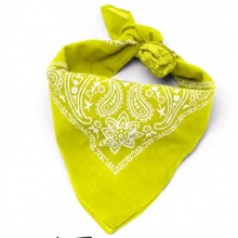 Premium Printed Bandana Scarf - Classic Style And Total Versatility - Kit Of 4 Units_L.R.A.VE - View 2