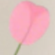 彩色